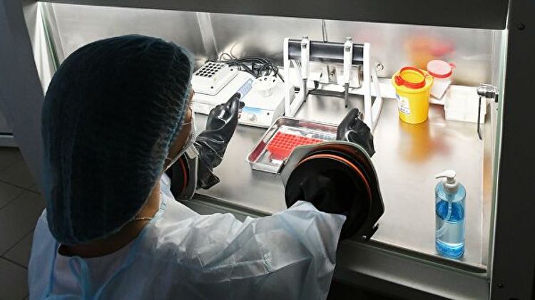 В Узбекистане число заразившихся коронавирусом выросло до 55