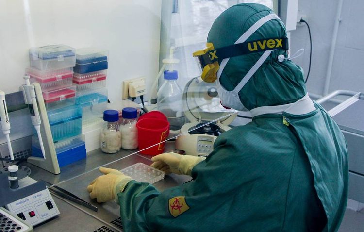 В Кыргызстане число заразившихся коронавирусом выросло до 94 человек