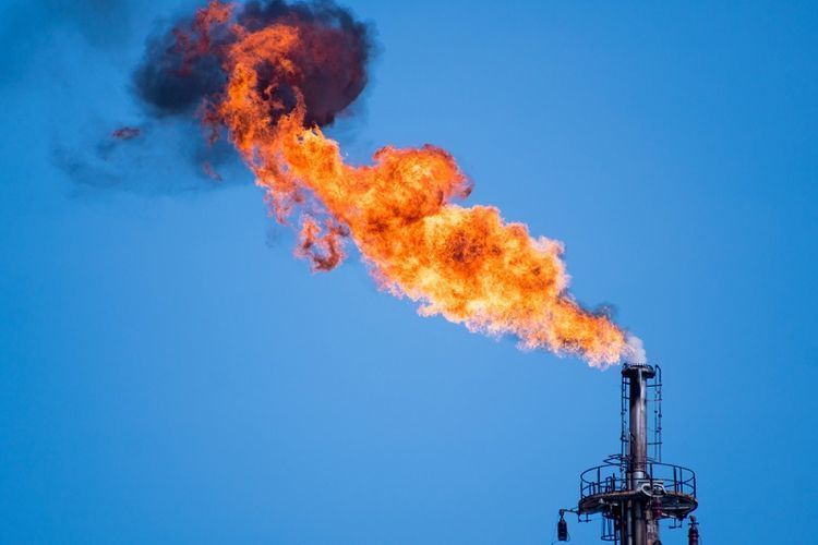 В Индии из-за утечки газа на химзаводе погибли 11 человек