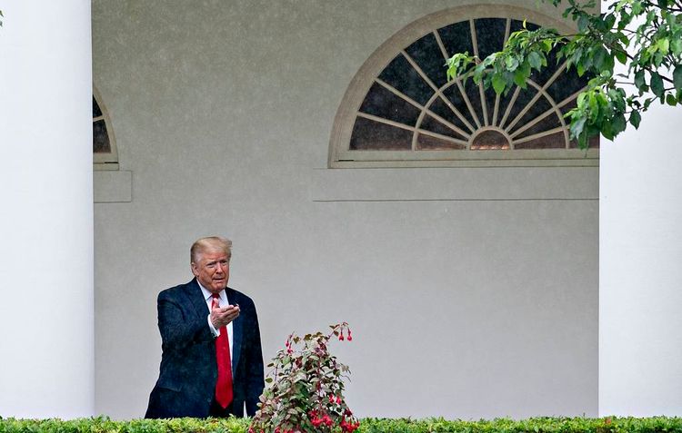 Трамп считает, что Путин не хочет его победы на выборах