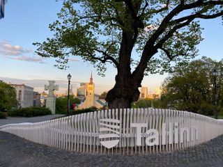 Площадь в Таллине окрасилась в цвета азербайджанского флага - ФОТО
