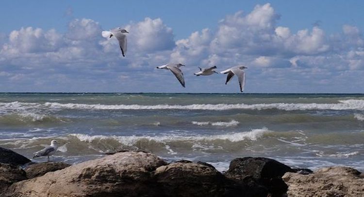 В Каспийском море произошло землетрясение магнитудой 4,6