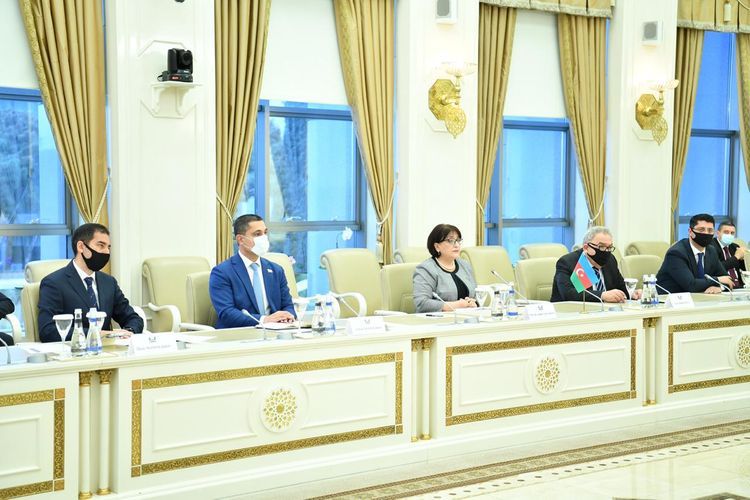 Сахиба Гафарова: Ряд официальных лиц Франции поддержали оккупационную политику Армении
