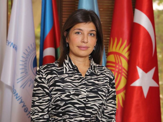 Президент Международного фонда тюркской культуры и наследия направила письмо  Ильхаму Алиеву