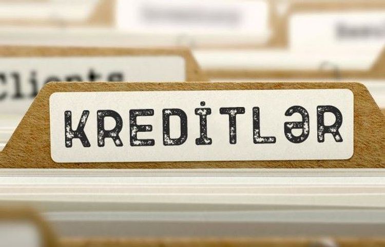 В этом году в Азербайджане фермерам выделено кредитов более 65 млн манатов
