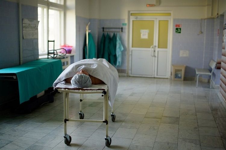 Патологоанатом рассказала, как COVID-19 поражает органы человека