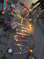 Члены азербайджанской общины Германии провели акцию протеста против ракетных атак Армении по городам Азербайджана - ФОТО