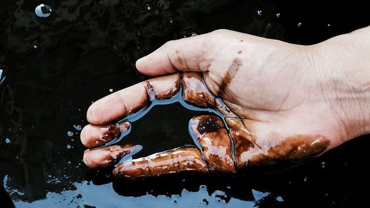 В этом году доходы Азербайджана от экспорта нефти составили около 7,2 млрд. долларов