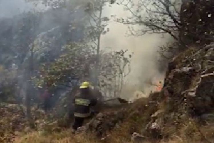 Потушен лесной пожар, произошедший в Дашкесане в результате армянского обстрела - ВИДЕО - ОБНОВЛЕНО