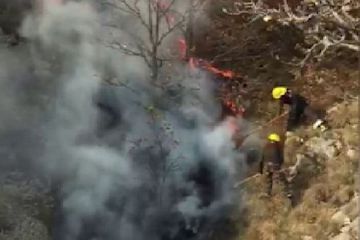 Потушен лесной пожар, произошедший в Дашкесане в результате армянского обстрела - ВИДЕО - ОБНОВЛЕНО