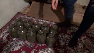 Полиция изъяла из оборота более 21 кг наркотиков - ФОТО
