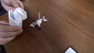 Полиция изъяла из оборота более 21 кг наркотиков - ФОТО