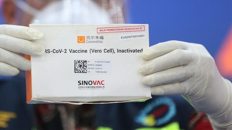 В Грузию до конца этого месяца будет доставлена вакцина «Sinovac»