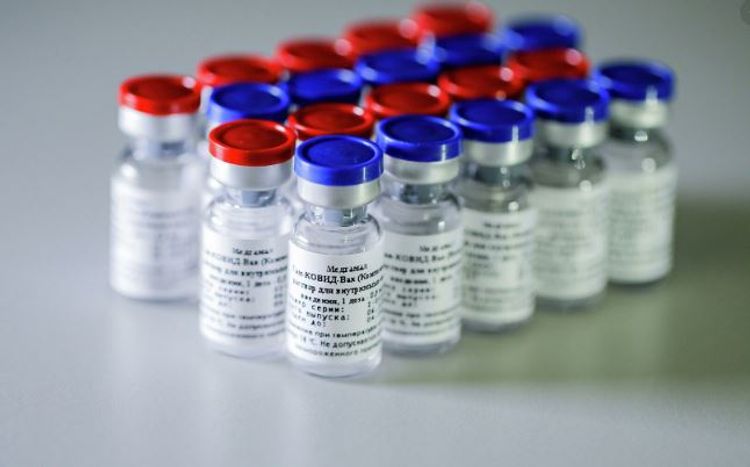 Партию вакцины «Спутник V» доставили в Армению