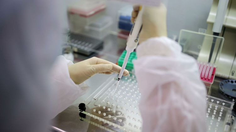 СМИ: южноафриканский штамм COVID-19 более устойчив к вакцине Pfizer