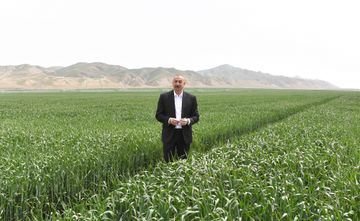В Гаджигабуле состоялась презентация агропарка ООО «Agro Dairy» - ОБНОВЛЕНО