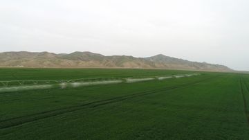 В Гаджигабуле состоялась презентация агропарка ООО «Agro Dairy» - ОБНОВЛЕНО