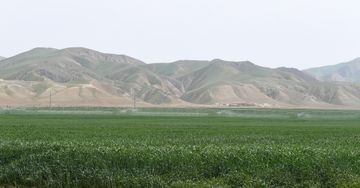 В Гаджигабуле состоялась презентация агропарка ООО «Agro Dairy» - ОБНОВЛЕНО