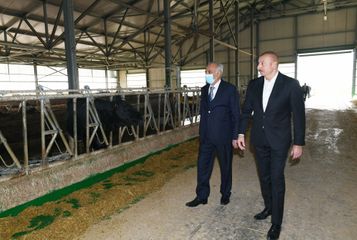 В Гаджигабуле состоялось открытие «Шамахинского агропарка Азерсун» - ОБНОВЛЕНО