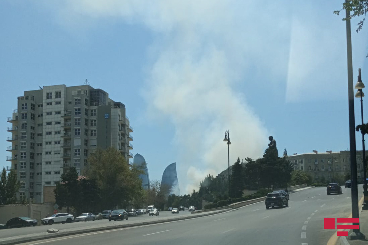 В Баку горит лесистый участок