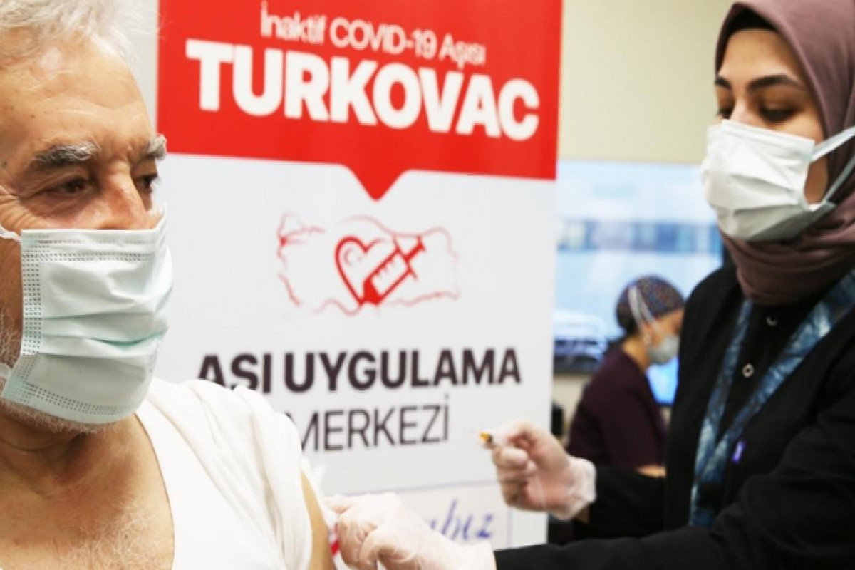 В турецких больницах началось массовое применение вакцины Turkovac