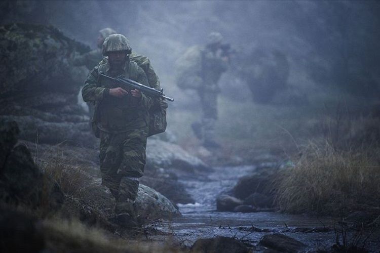 В ходе операции на севере Ирака погибли 2 военнослужащих турецкой армии
