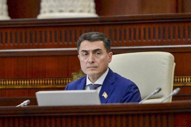 Али Гусейнли: В будущем институт спецпредставительства может быть задействован и на других территориях