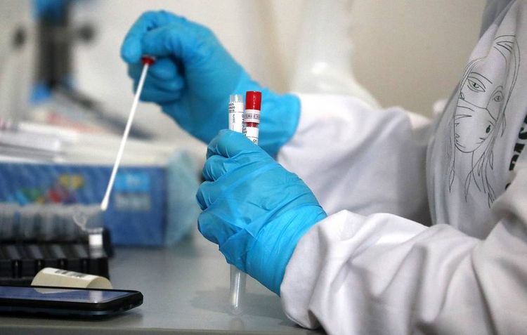 В РФ зарегистрировали первую в мире тест-систему для выявления британского штамма COVID-19