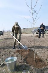 Президент Ильхам Алиев: Началось восстановление Беситчайского природного заповедника 