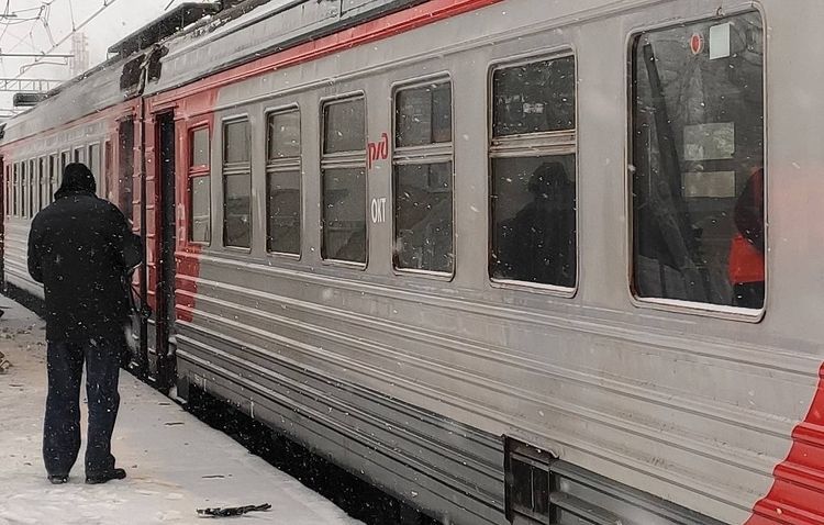 Власти Японии займутся поиском одиноких людей
