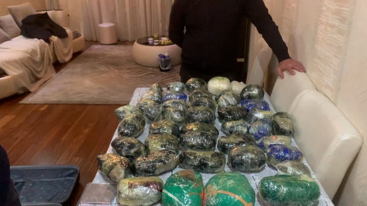 МВД: Из оборота изъято более 48 кг наркотиков