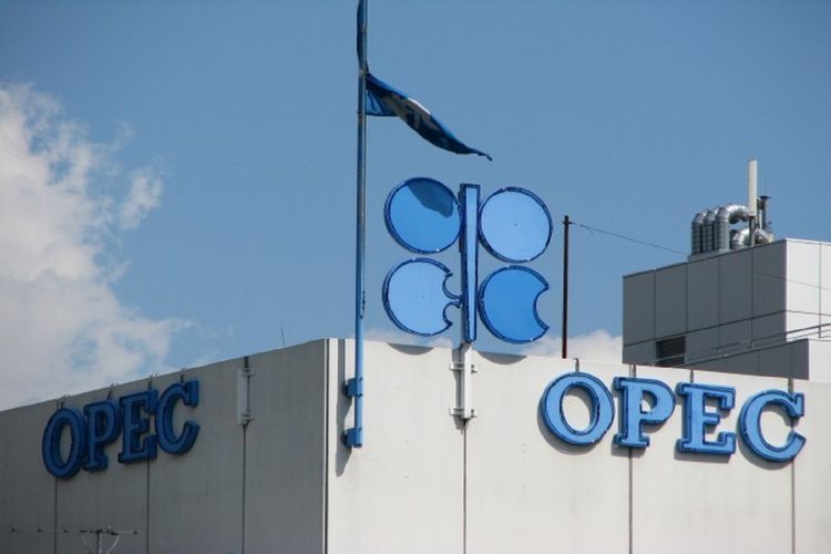 В ОПЕК+ пока нет консенсуса об уровнях добычи нефти на февраль