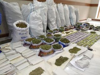За последние 6 дней полиция изъяла из оборота около 110 кг наркотиков – ФОТО 