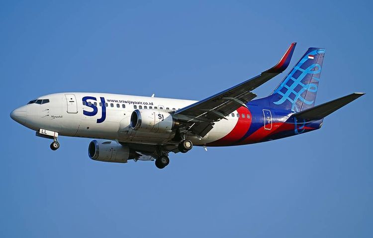 Самолет компании Sriwijaya Air упал в Яванское море близ Джакарты - ОБНОВЛЕНО
