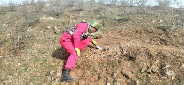 В прифронтовых районах обнаружены неразорвавшиеся боеприпасы - ФОТО
