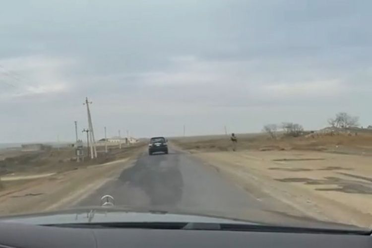 Мехрибан Алиева поделилась публикацией из Физули в ходе визита в Шушу с президентом Ильхамом Алиевым - ВИДЕО