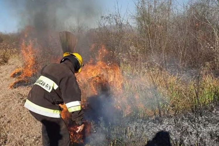 В Астаре произошел пожар в лесной полосе