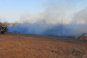 В Астаре произошел пожар в лесной полосе