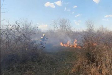 В Астаре произошел пожар в лесной полосе