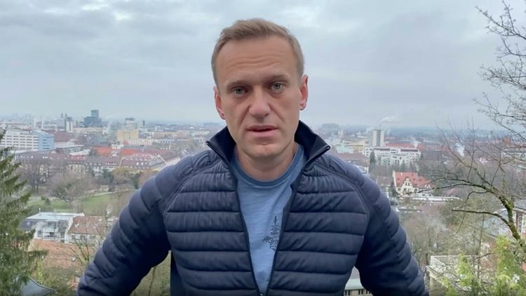 Навального задержали после возвращения в Россию