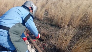 На прифронтовых территориях Азербайджана обнаружено 270 неразорвавшихся боеприпасов - ФОТО