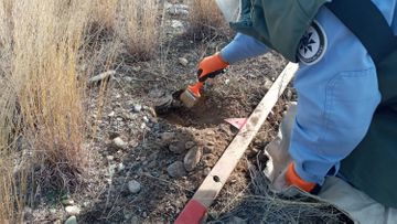 На прифронтовых территориях Азербайджана обнаружено 270 неразорвавшихся боеприпасов - ФОТО