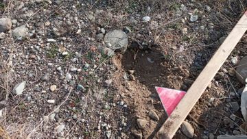 На прифронтовых территориях Азербайджана обнаружено 270 неразорвавшихся боеприпасов - ФОТО