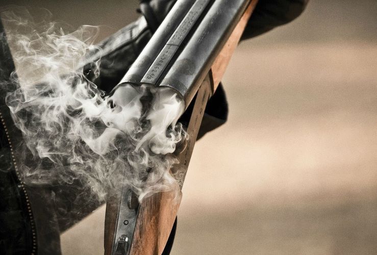 За незаконную охоту в Национальном парке Гызылагадж задержан браконьер