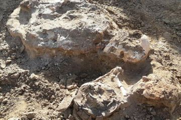 На территории государственного историко-культурного заповедника «Кешикчидаг» обнаружены археологические памятники - ФОТО