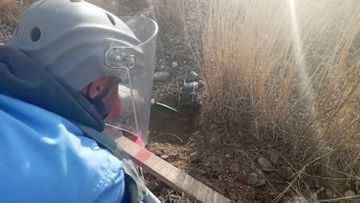 В прифронтовых районах Азербайджана обнаружено большое количество неразорвавшихся боеприпасов - ФОТО