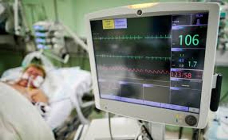 Ученые выяснили, почему некоторые люди невосприимчивы к COVID-19