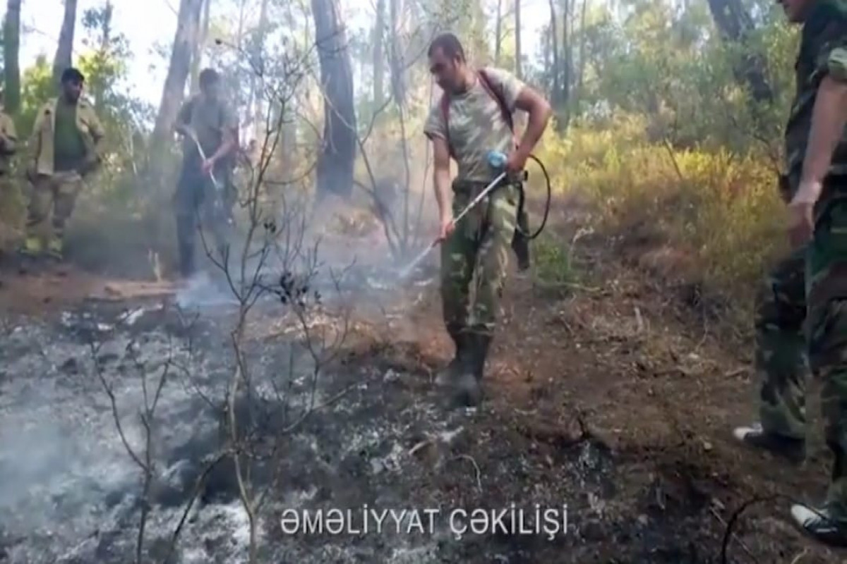 Силы МЧС Азербайджана продолжают тушение пожаров в Турции
