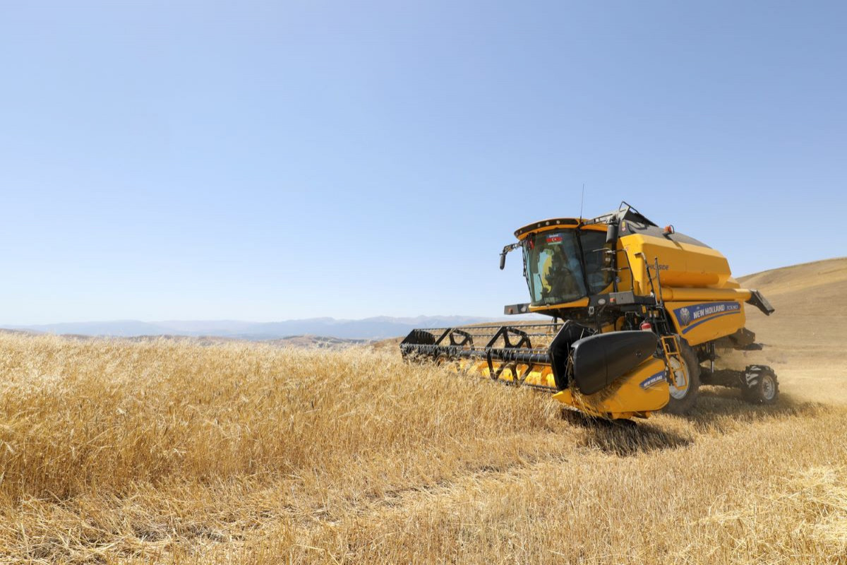 Азербайджанские фермеры получили от государства более 20 млн манатов субсидий на посевные работы
