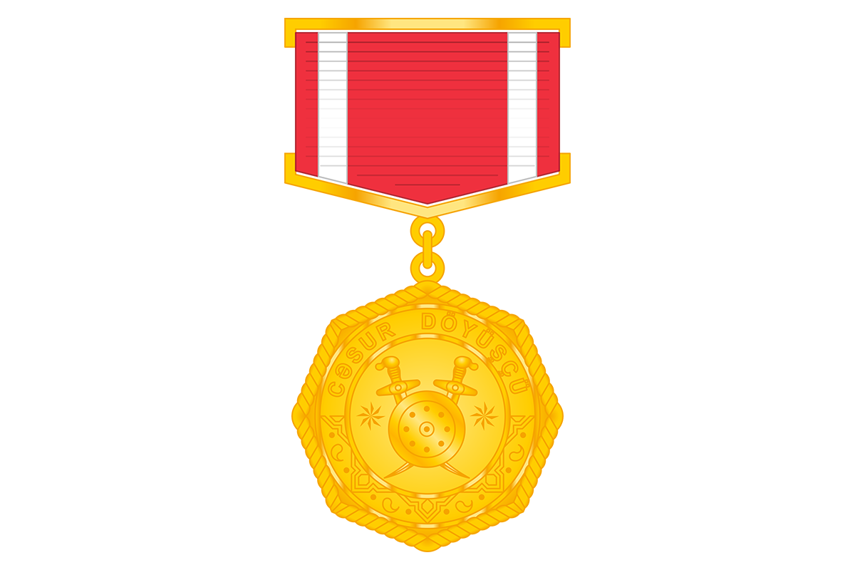 Президент наградил группу военнослужащих медалью «Отважный боец»